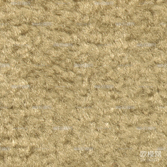 地毯下载（渲染图19）