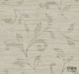 壁纸