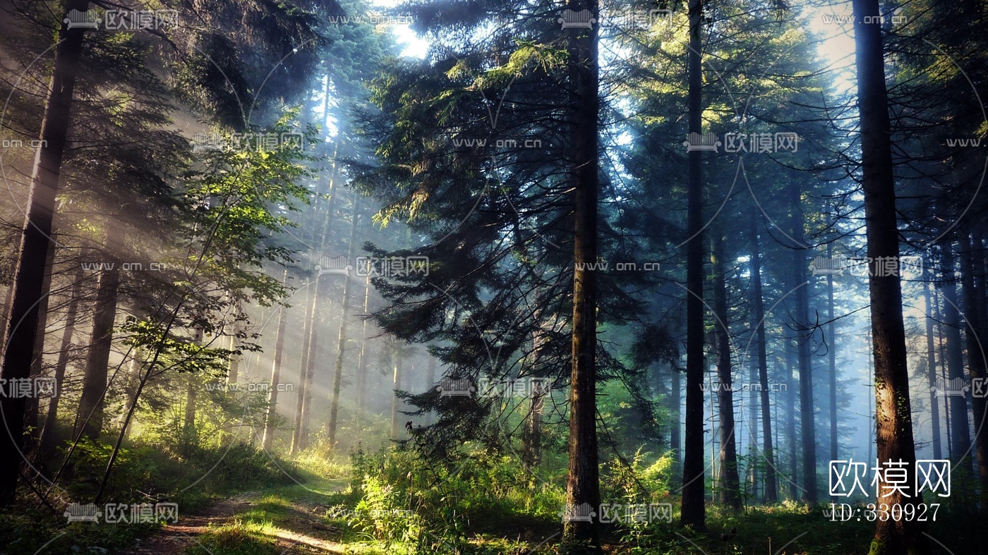 深林下载（渲染图1）