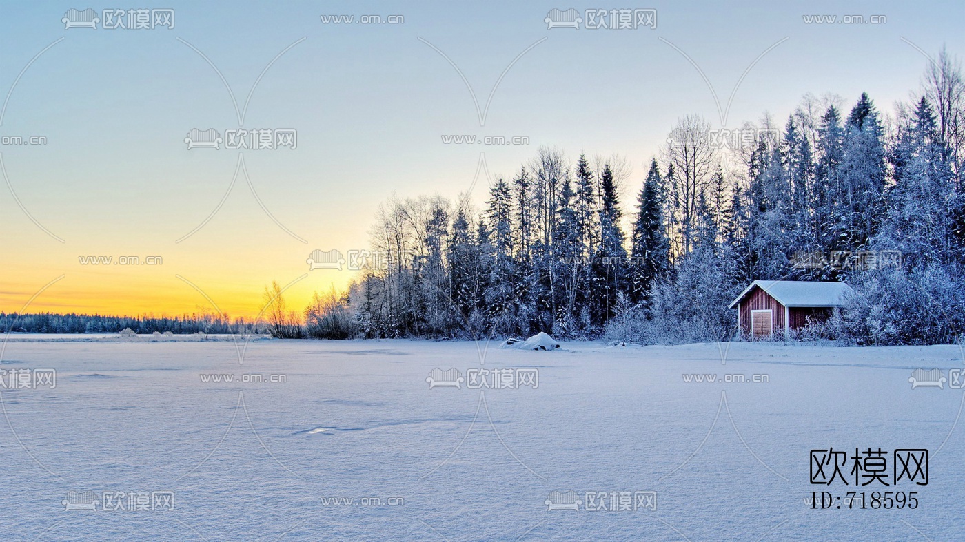 雪景