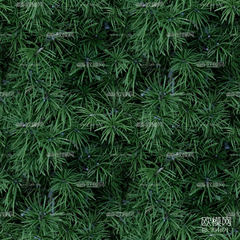 草皮