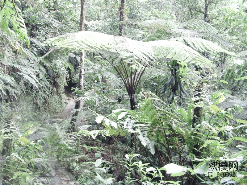 外景贴图下载（渲染图14）