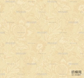 壁纸