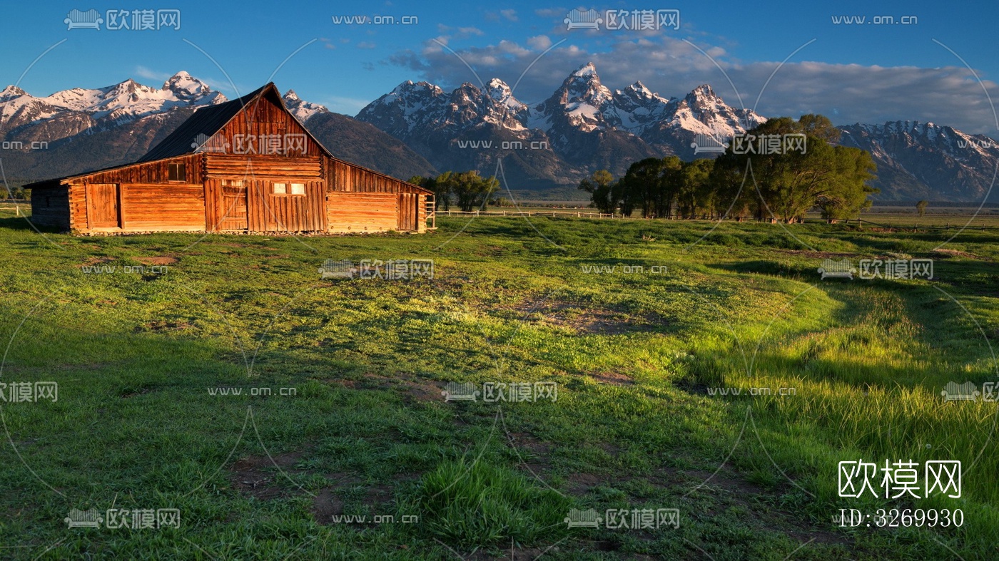 农场草地风景