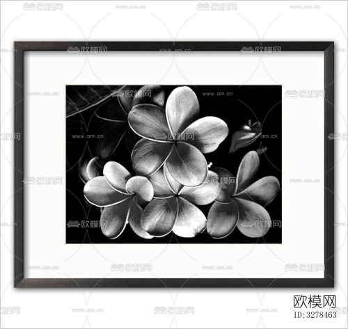 0912231224d590f6784f293c43下载