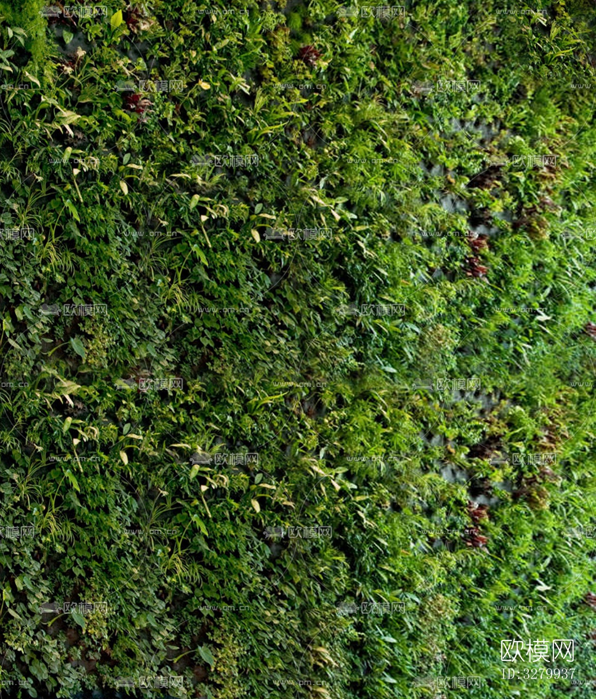 植物墙装饰下载（渲染图2）