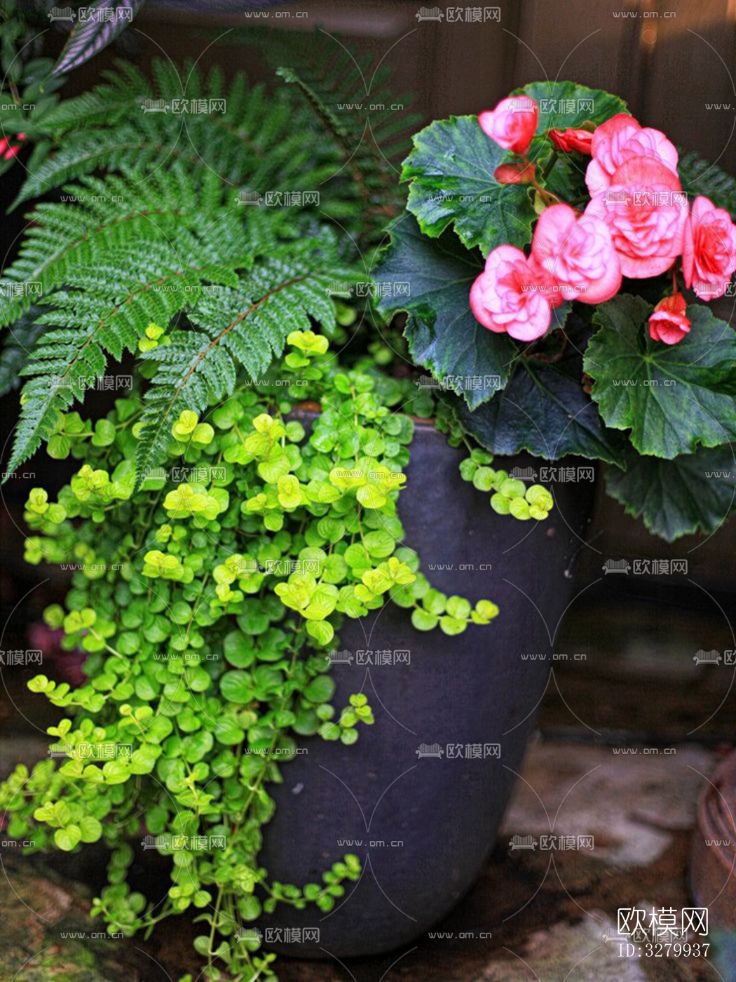 植物墙装饰下载（渲染图3）