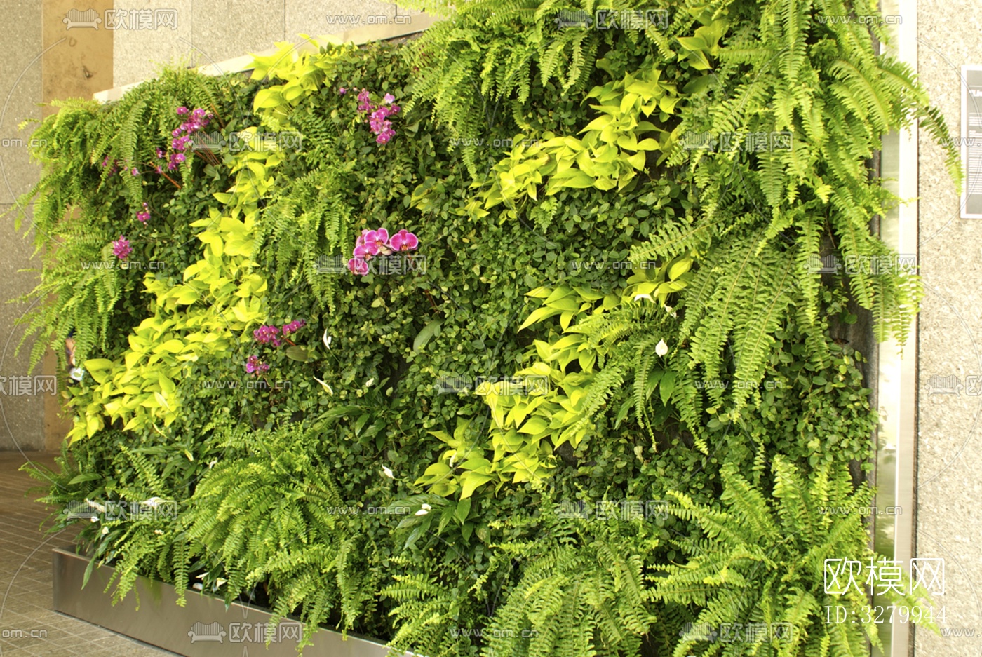 植物墙装饰下载（渲染图3）