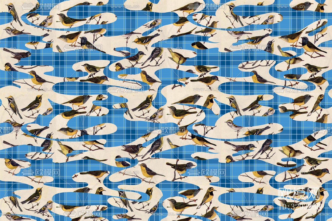 鸟壁纸墙纸下载