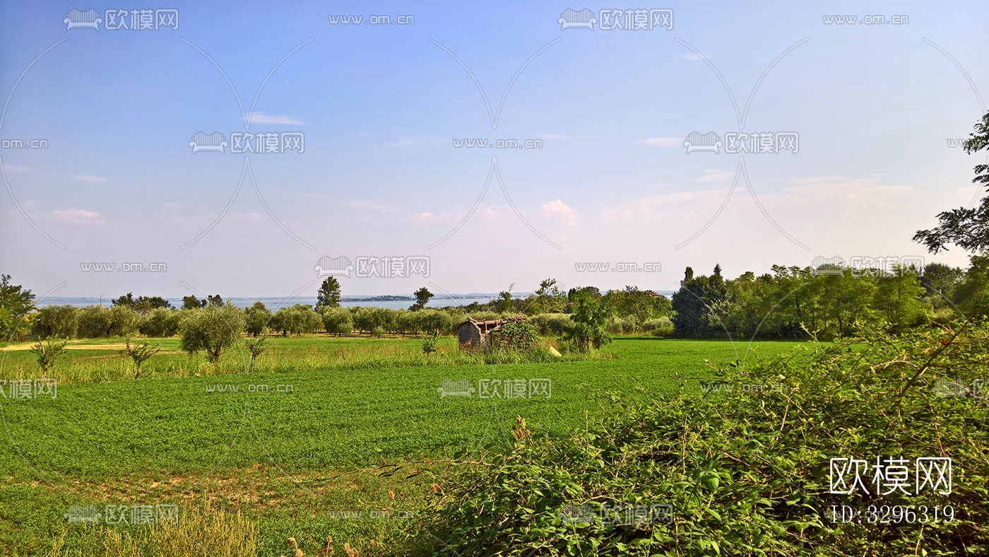 蓝色天空的乡村景观风景下载