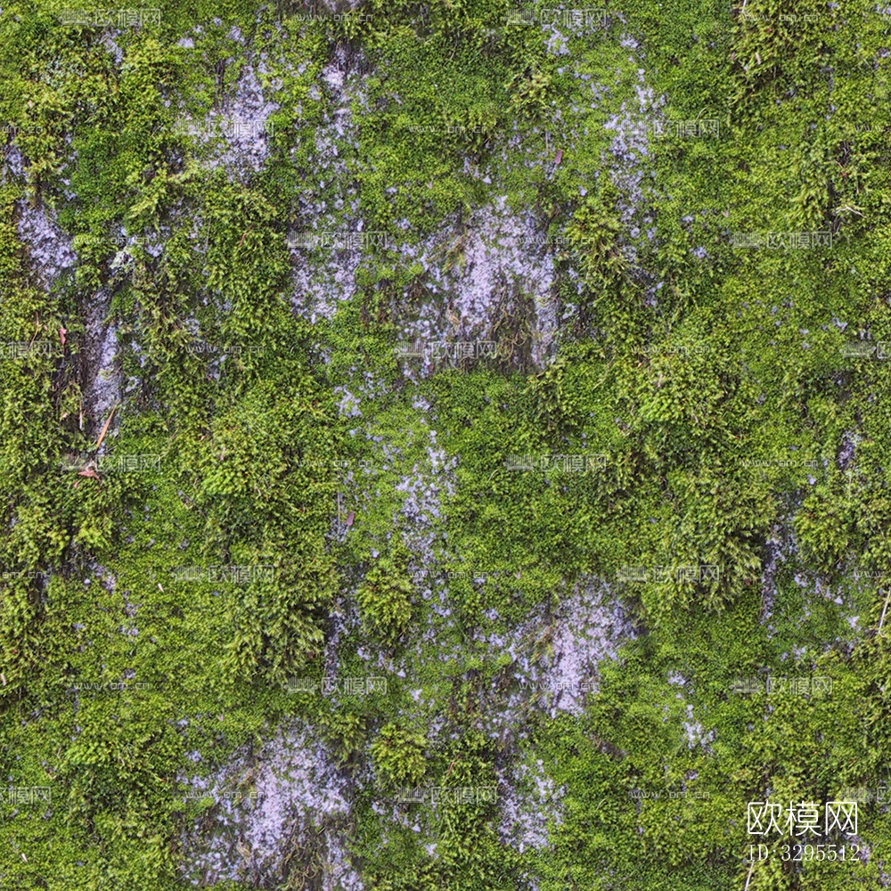 无缝庭院园林苔藓草坪草皮草地岩石地面下载