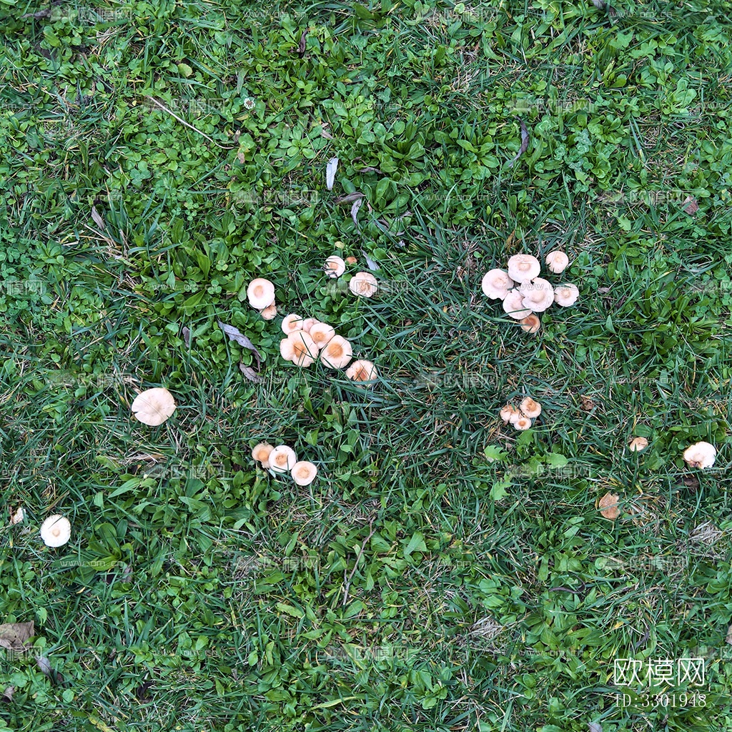 无缝园林庭院景观绿色草坪草地草皮地面下载