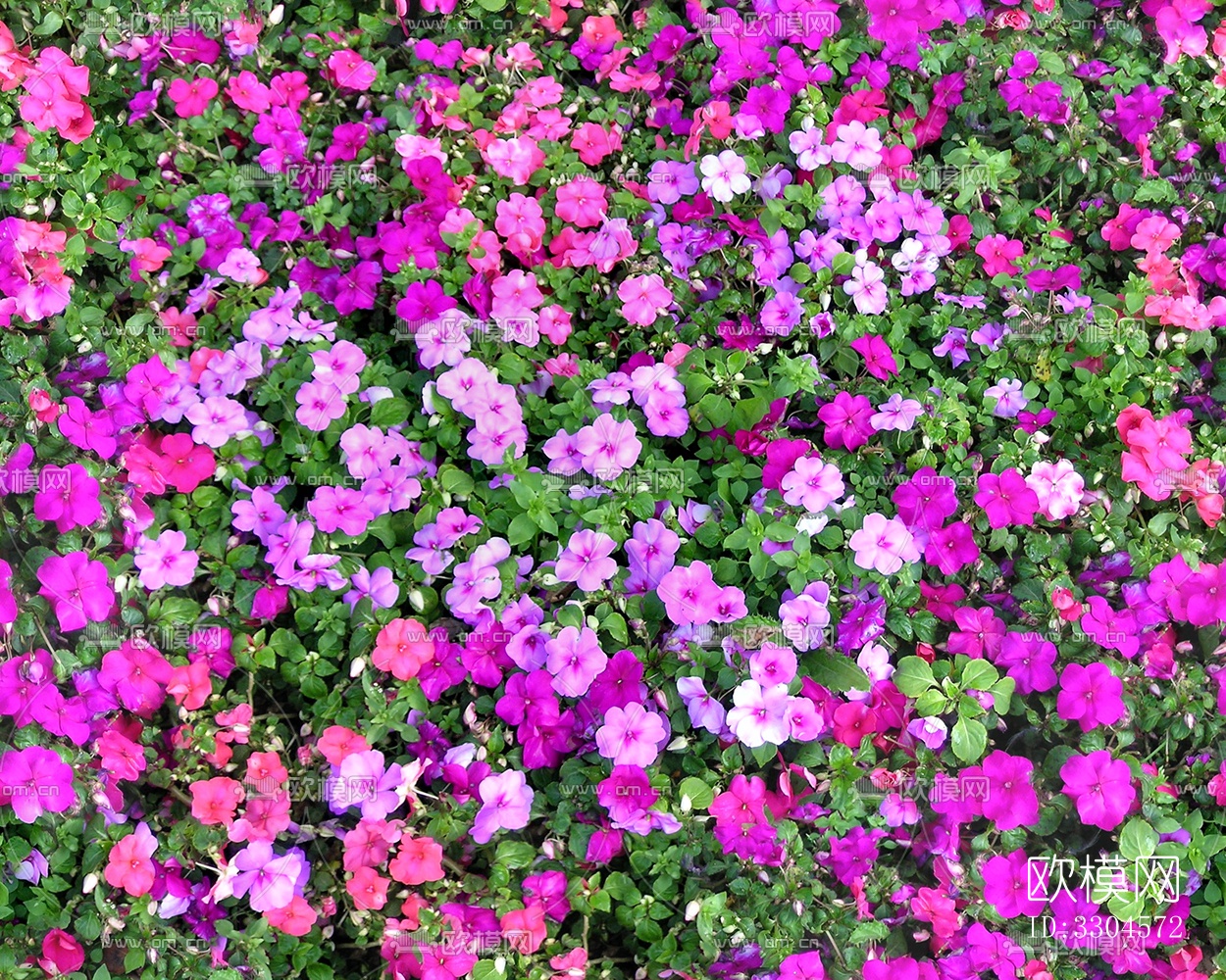 无缝园林庭院景观花园田野红色花卉鲜花绿植草坪草地草皮地面墙面下载