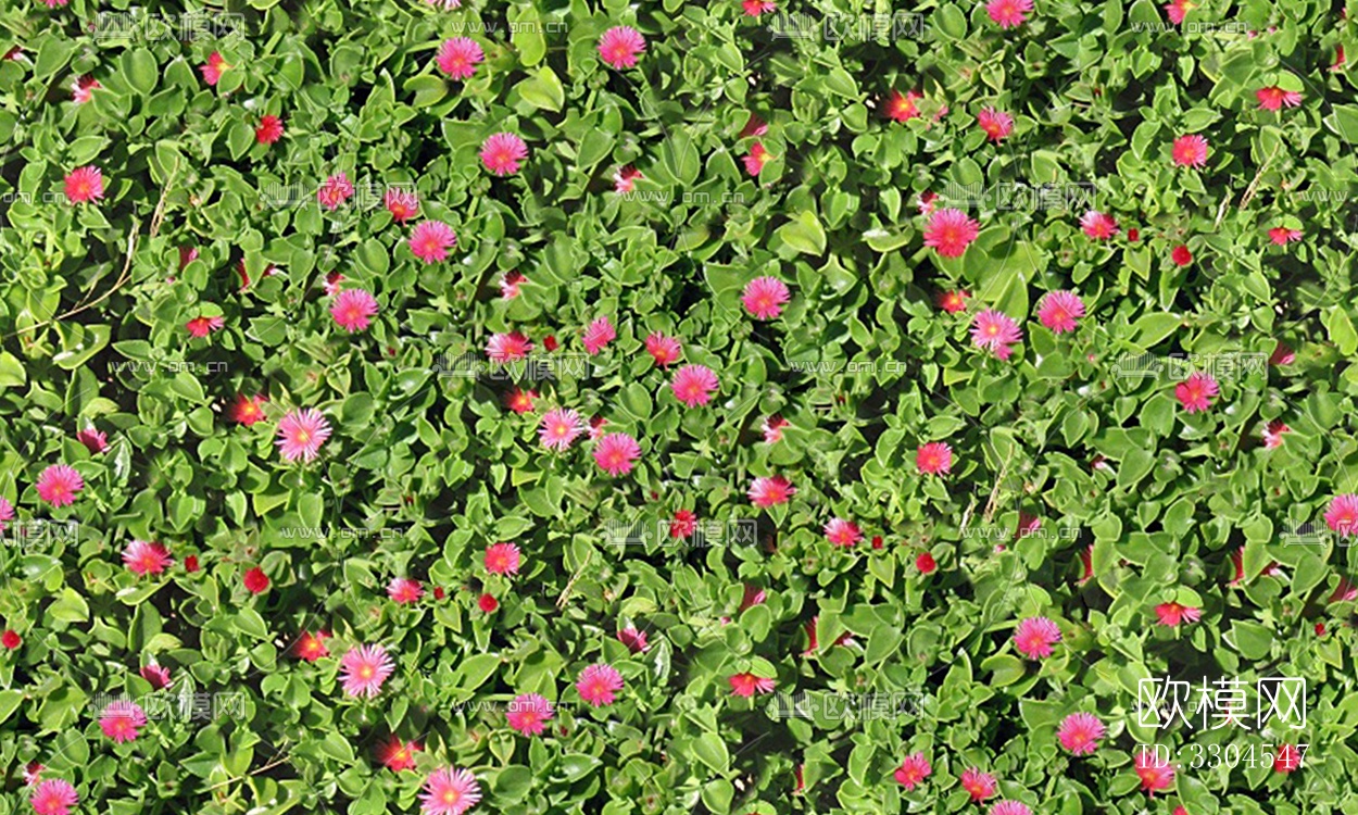 无缝绿色景观草地灌木植物树篱笆墙面下载