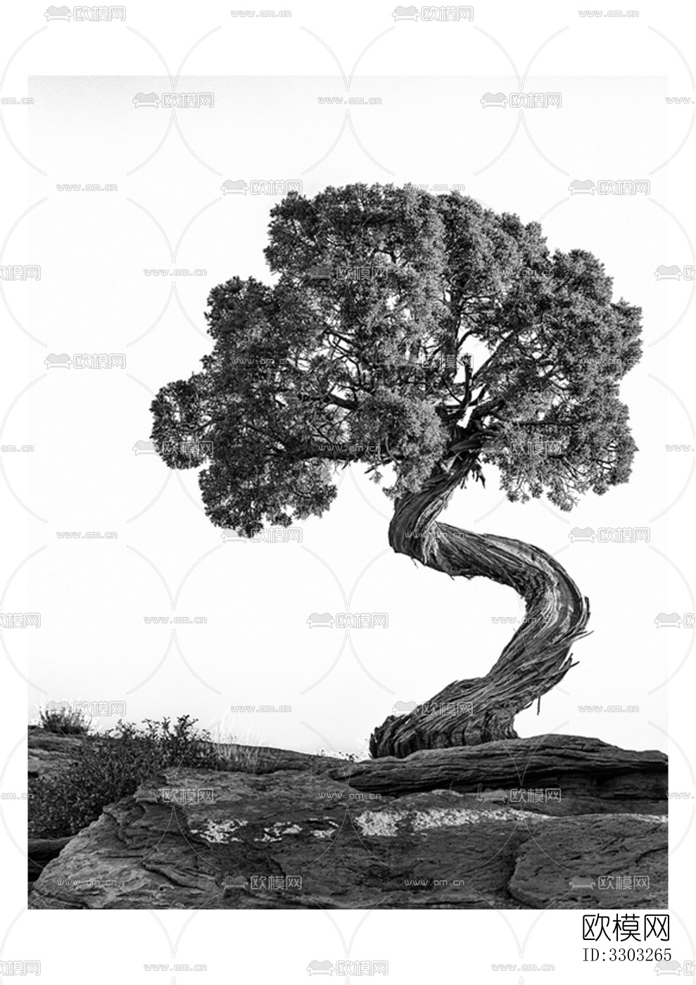 黑白装饰画下载