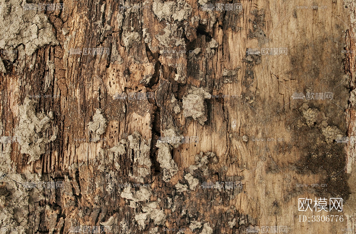 无缝开裂干枯树皮纹理下载