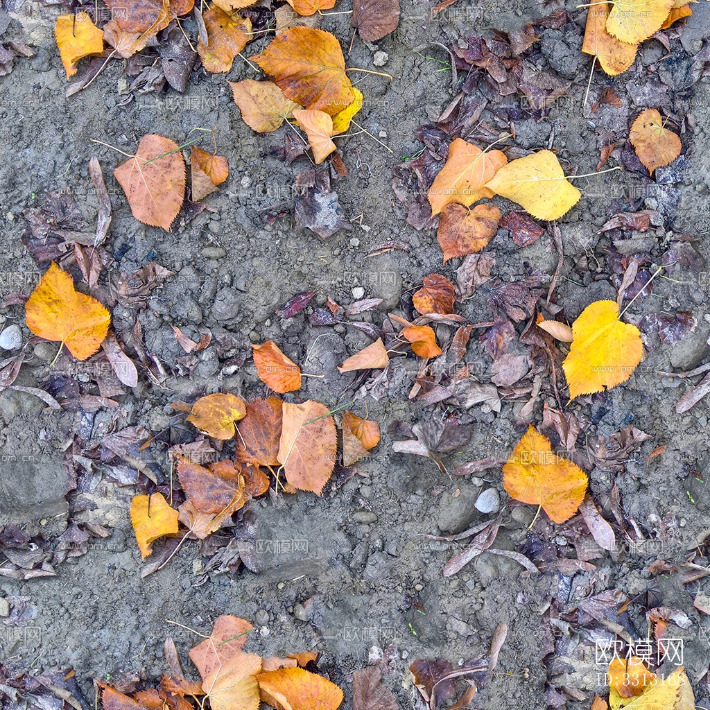 无缝枯黄枯枝落叶树叶草皮草地草坪道路地面下载
