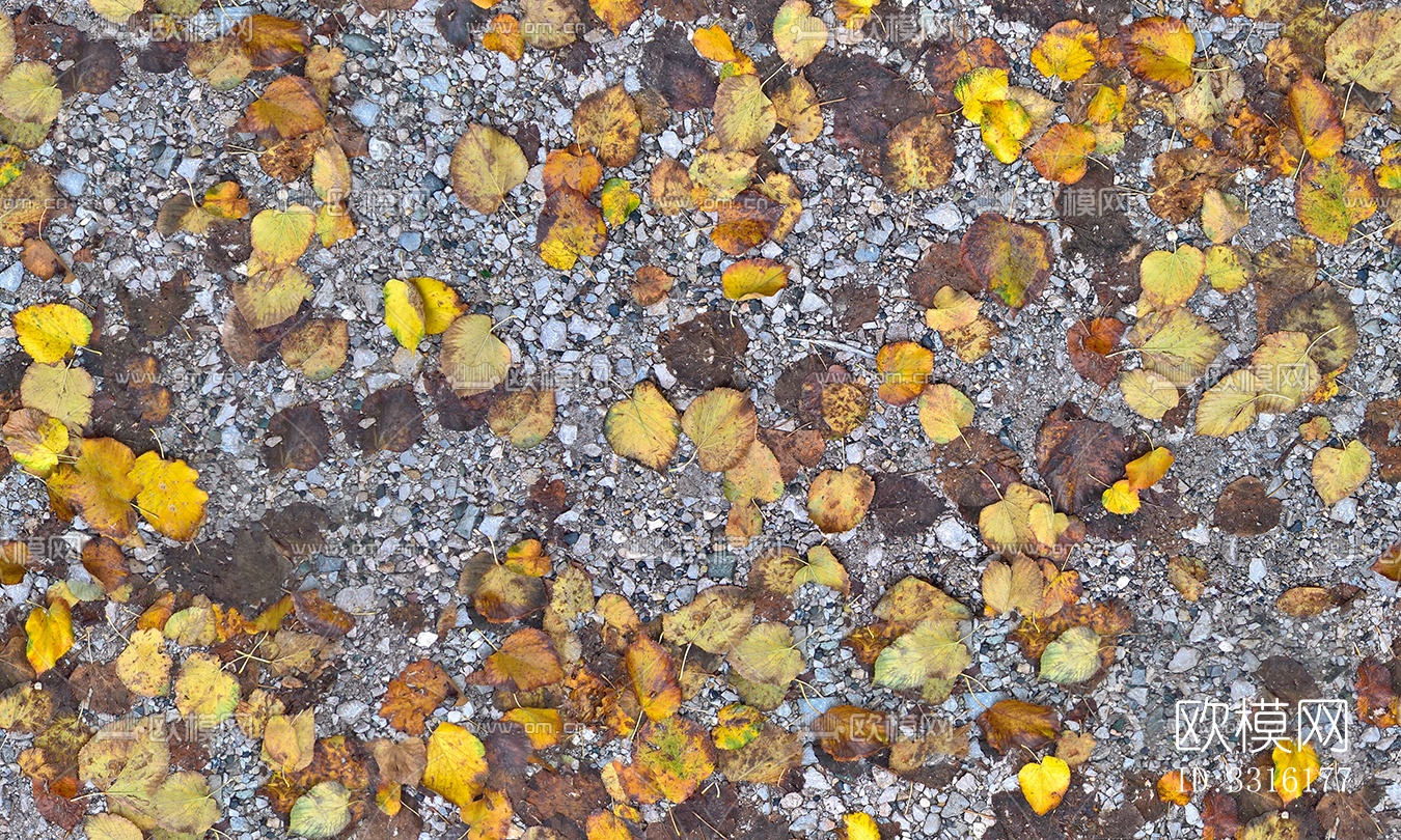 无缝枯黄枯枝落叶树叶草皮草地草坪道路地面下载