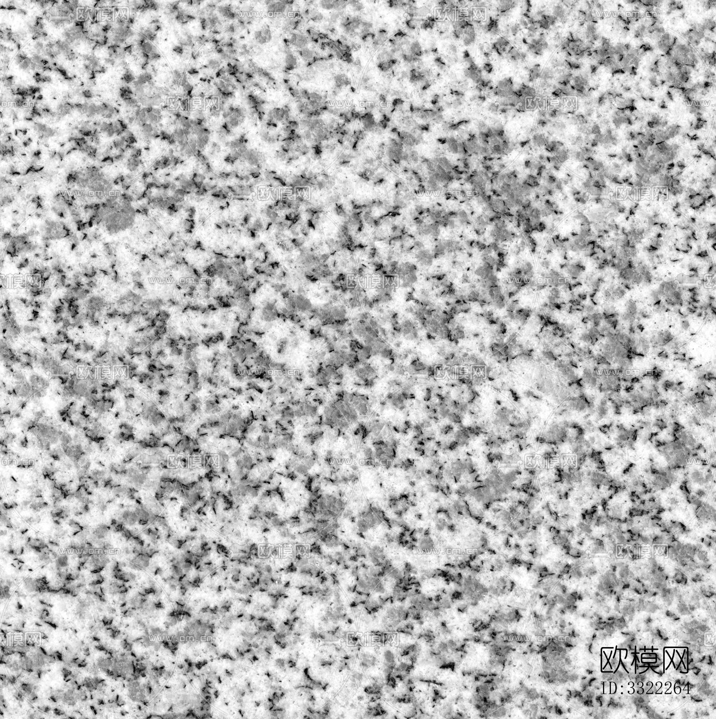 拉斯维加斯白麻下载