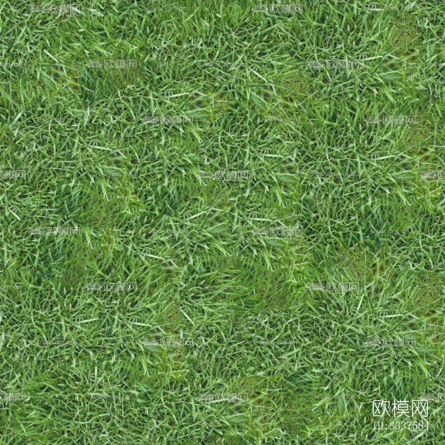 草地贴图下载
