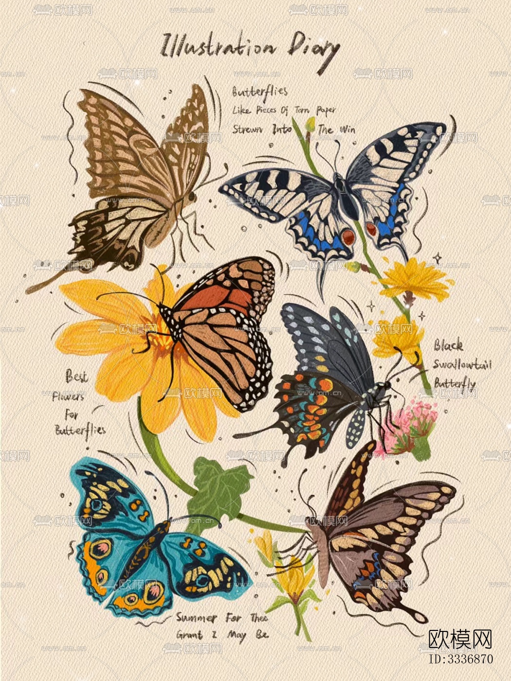 蝴蝶挂画贴图下载