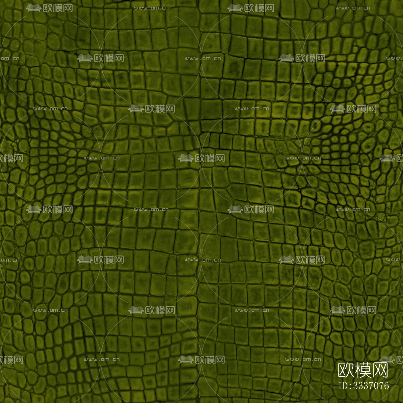 绿色鳄鱼皮革下载