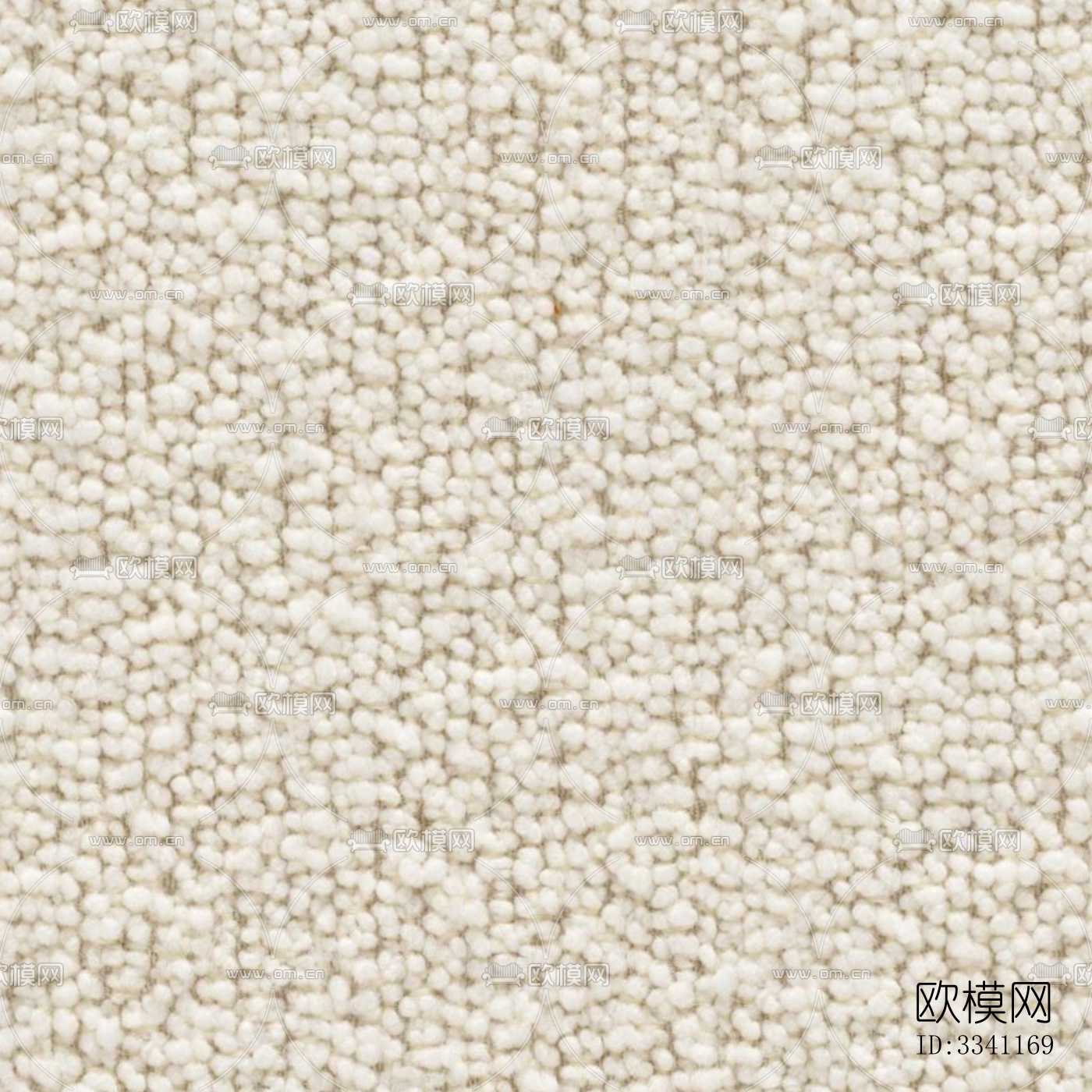 无缝米白羊羔绒下载