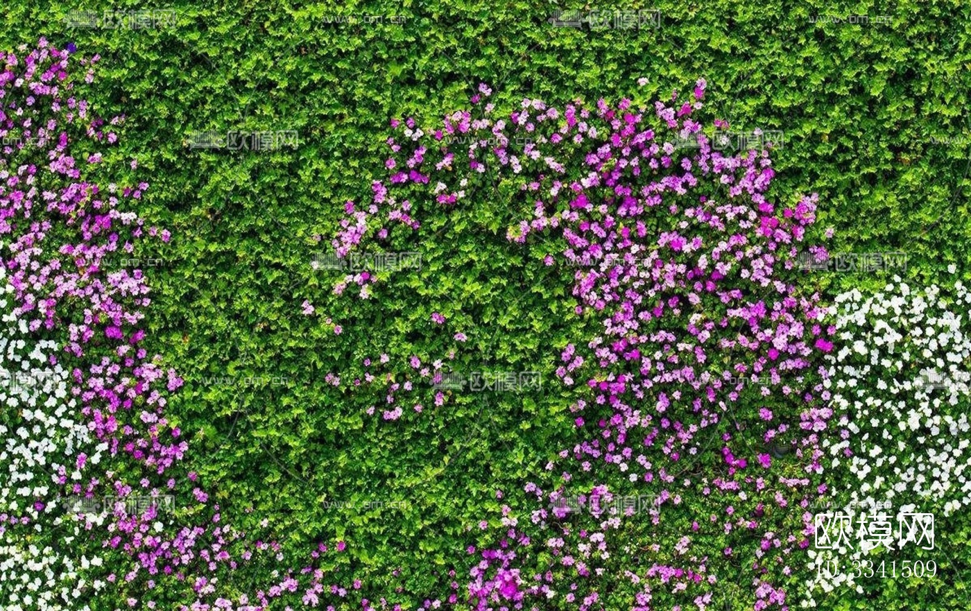 植物墙绿植墙下载