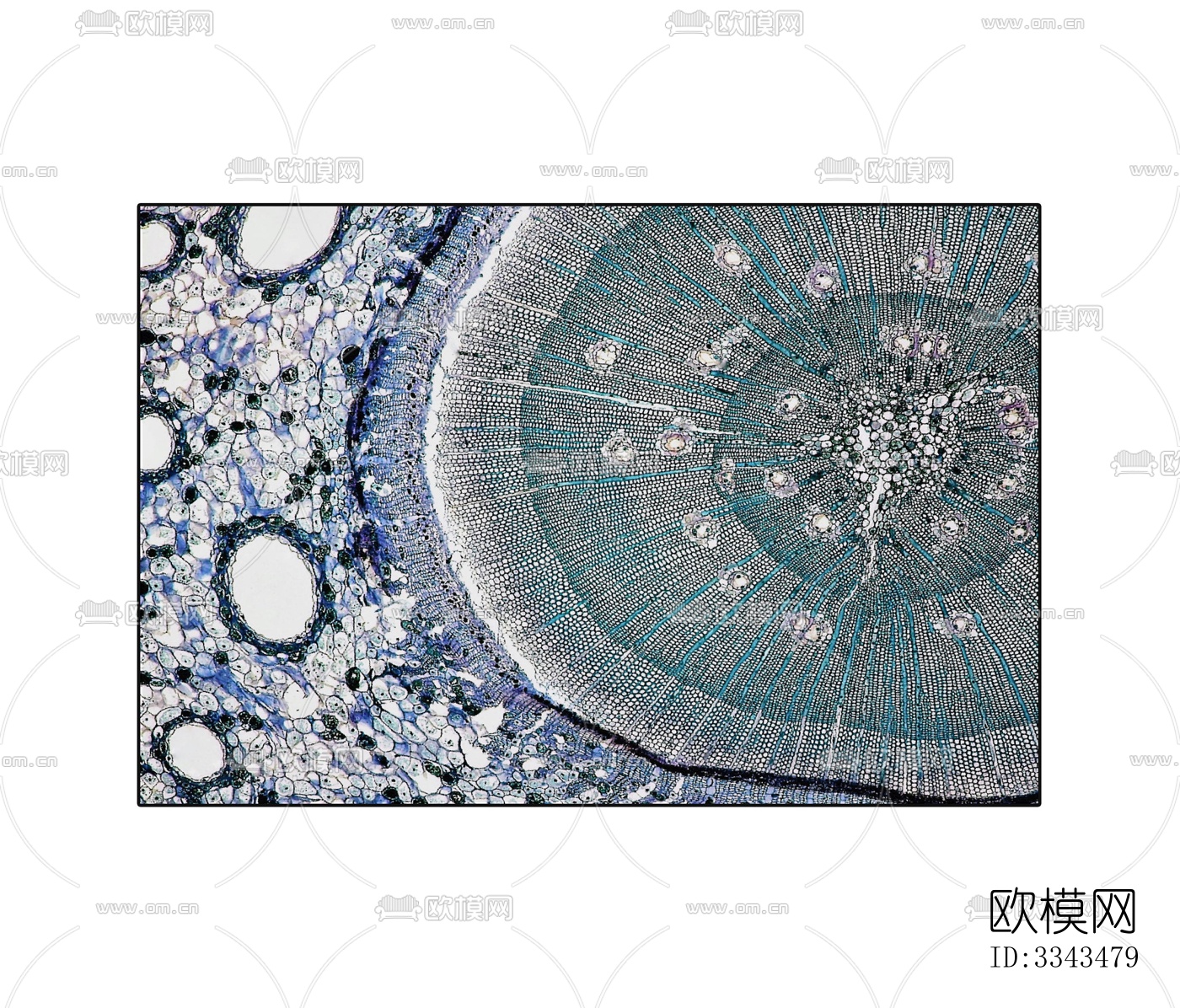 蓝色抽象几何圆毯下载