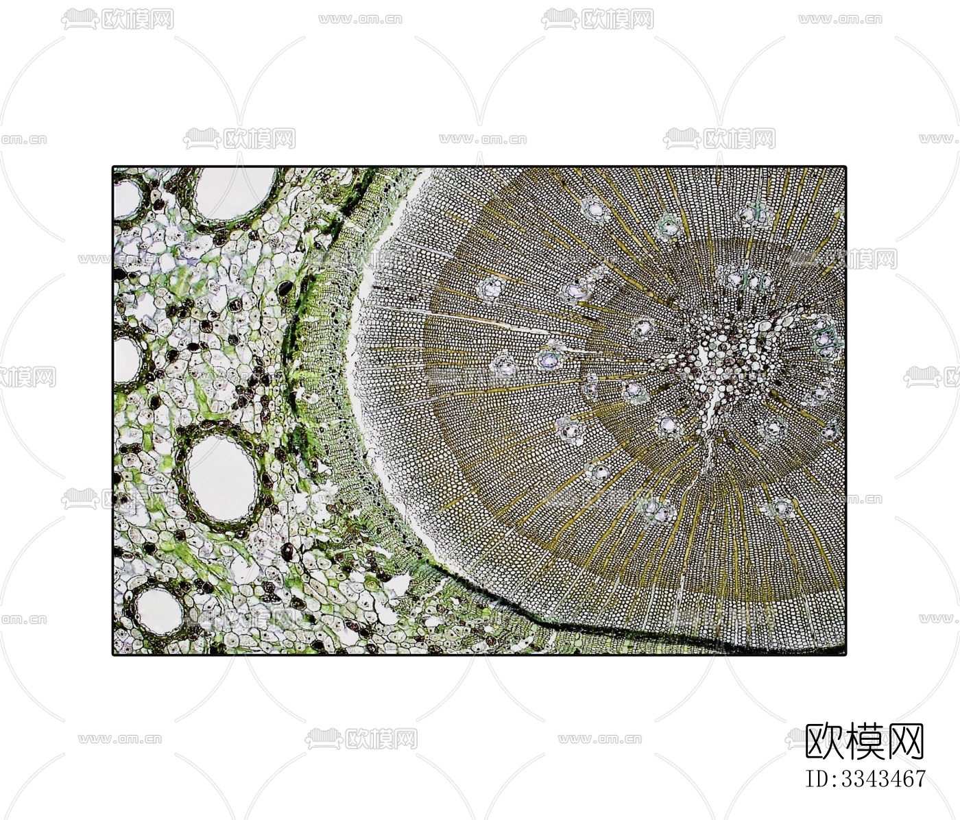 绿色抽象几何地毯下载