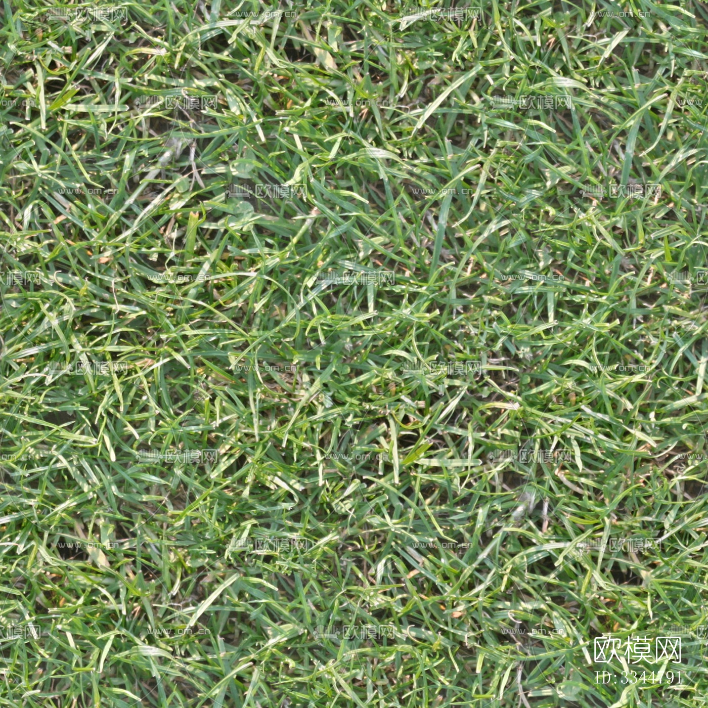 无缝绿植草皮草地贴图下载