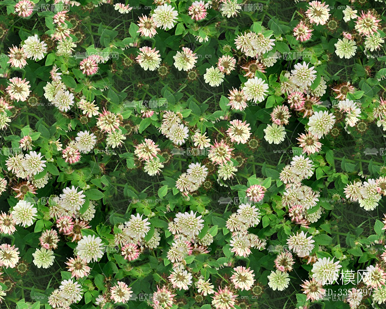 无缝园林庭院景观花园田野花卉鲜花绿植草坪草地草皮地面墙面下载