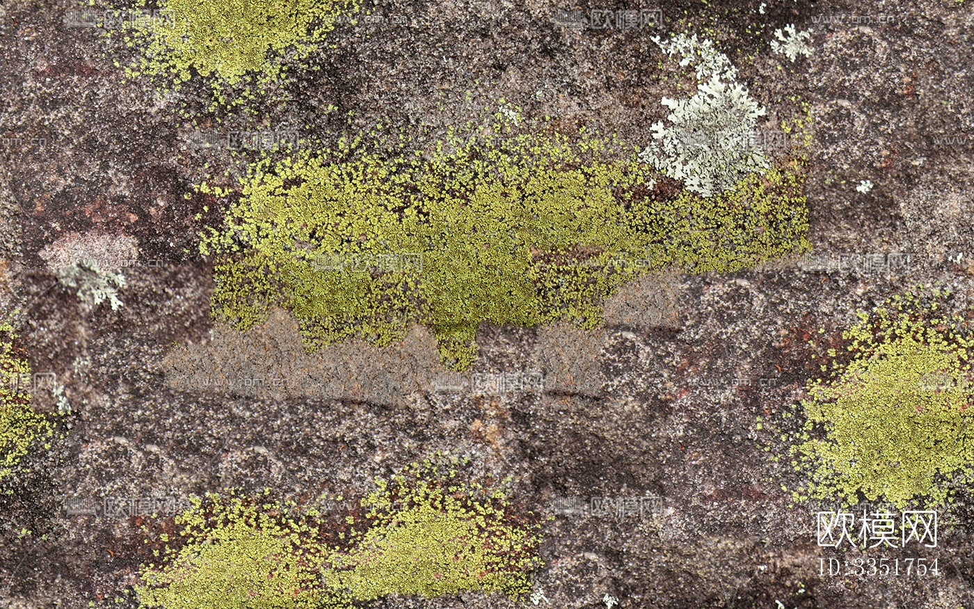 无缝庭院园林苔藓草坪草皮草地岩石地面下载