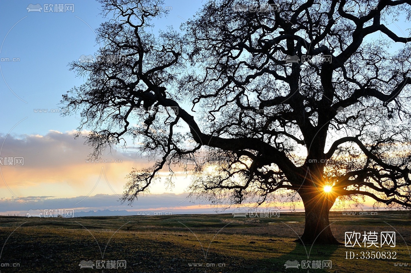 夕阳外景下载