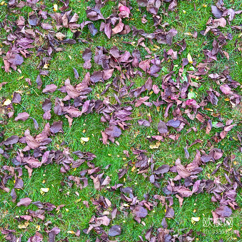 无缝枯枝落叶草皮草地草坪地面下载