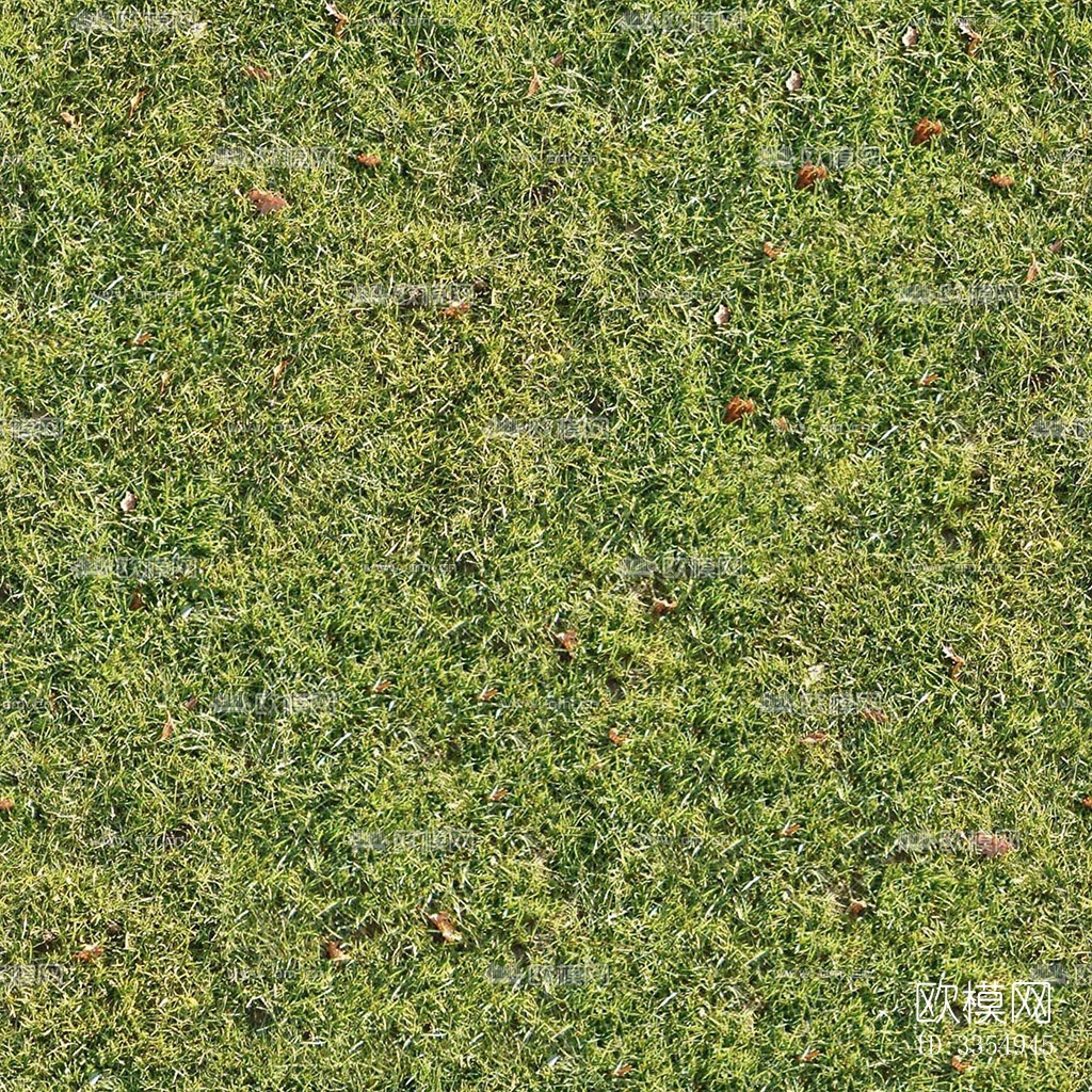 无缝园林庭院景观绿色草坪草地草皮地面下载