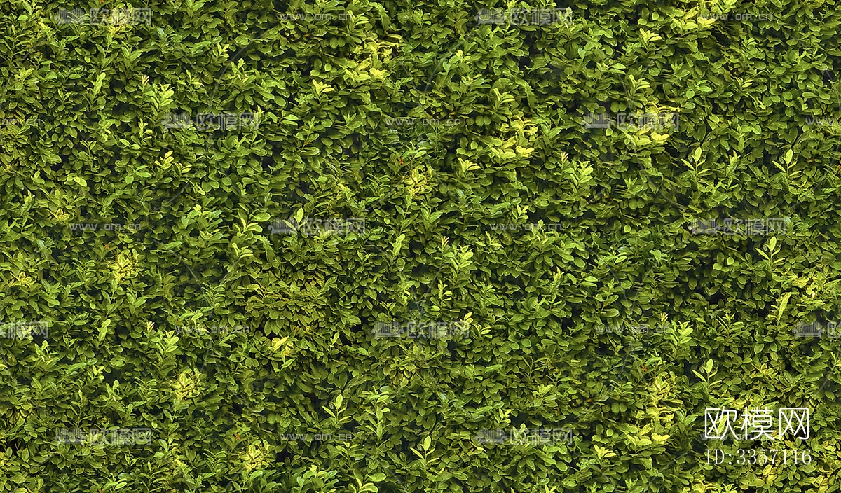 无缝绿色景观草地灌木植物树篱笆墙下载