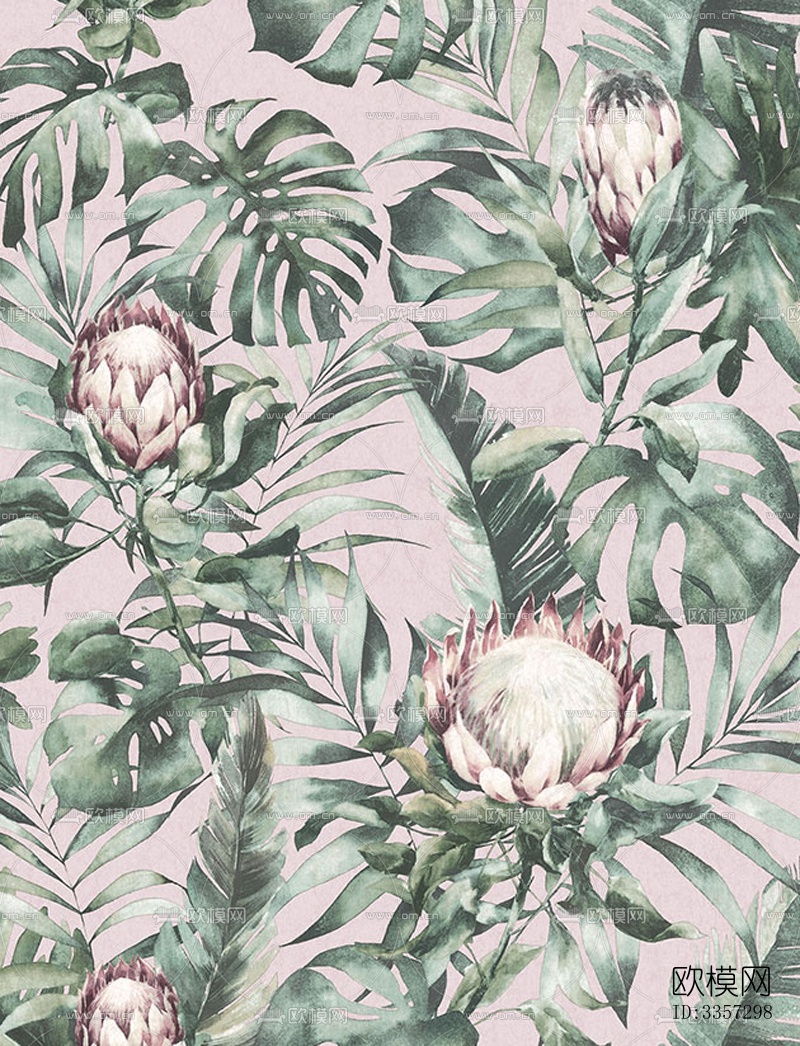 热带雨林壁纸下载