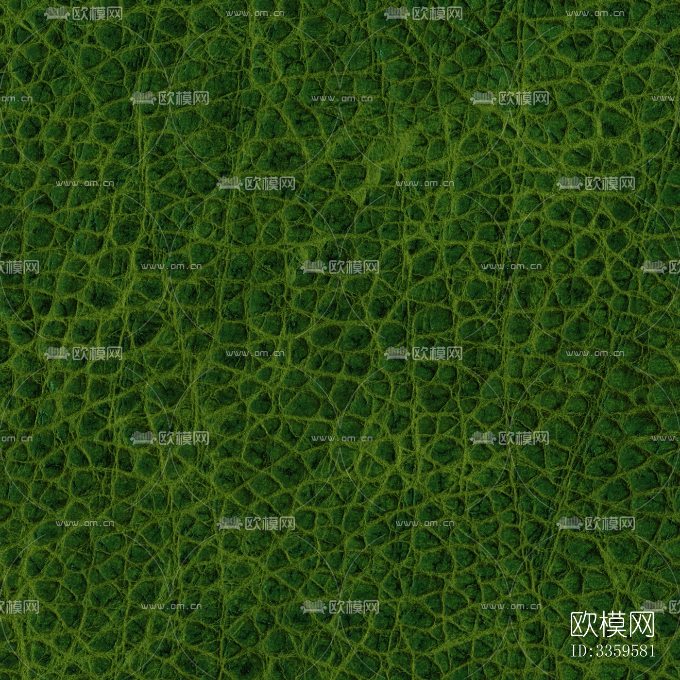 绿色粗纹皮革下载