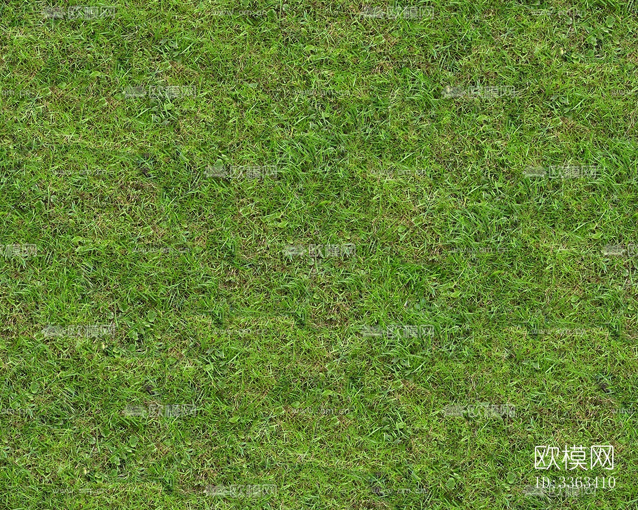 无缝园林庭院景观绿色草坪草地草皮地面下载