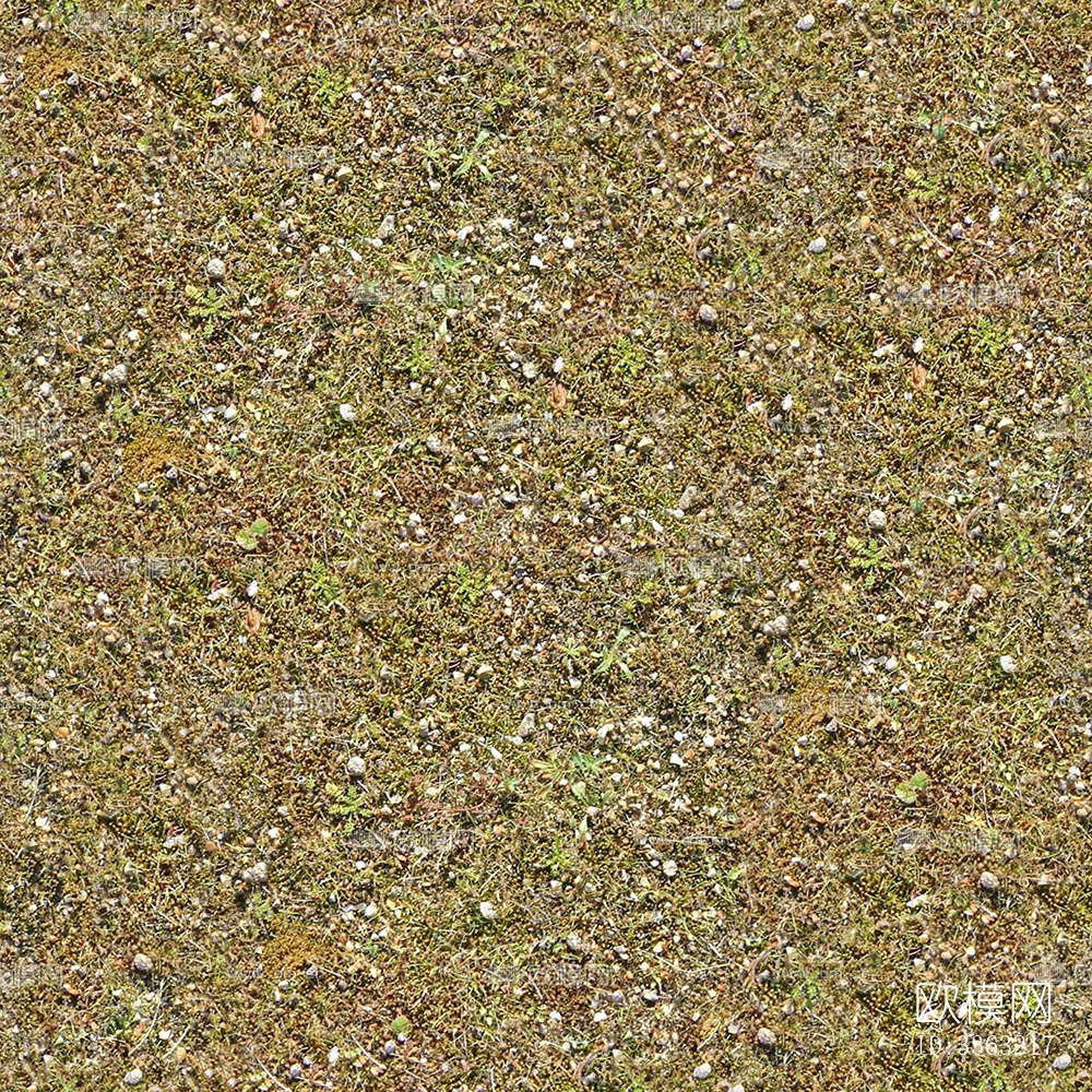 无缝园林庭院枯黄干枯草地草坪草皮泥土地面下载