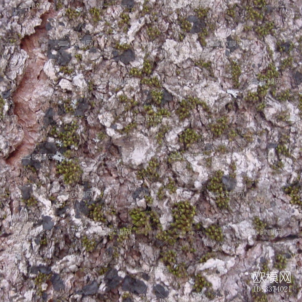 无缝开裂干枯树皮树干纹理下载