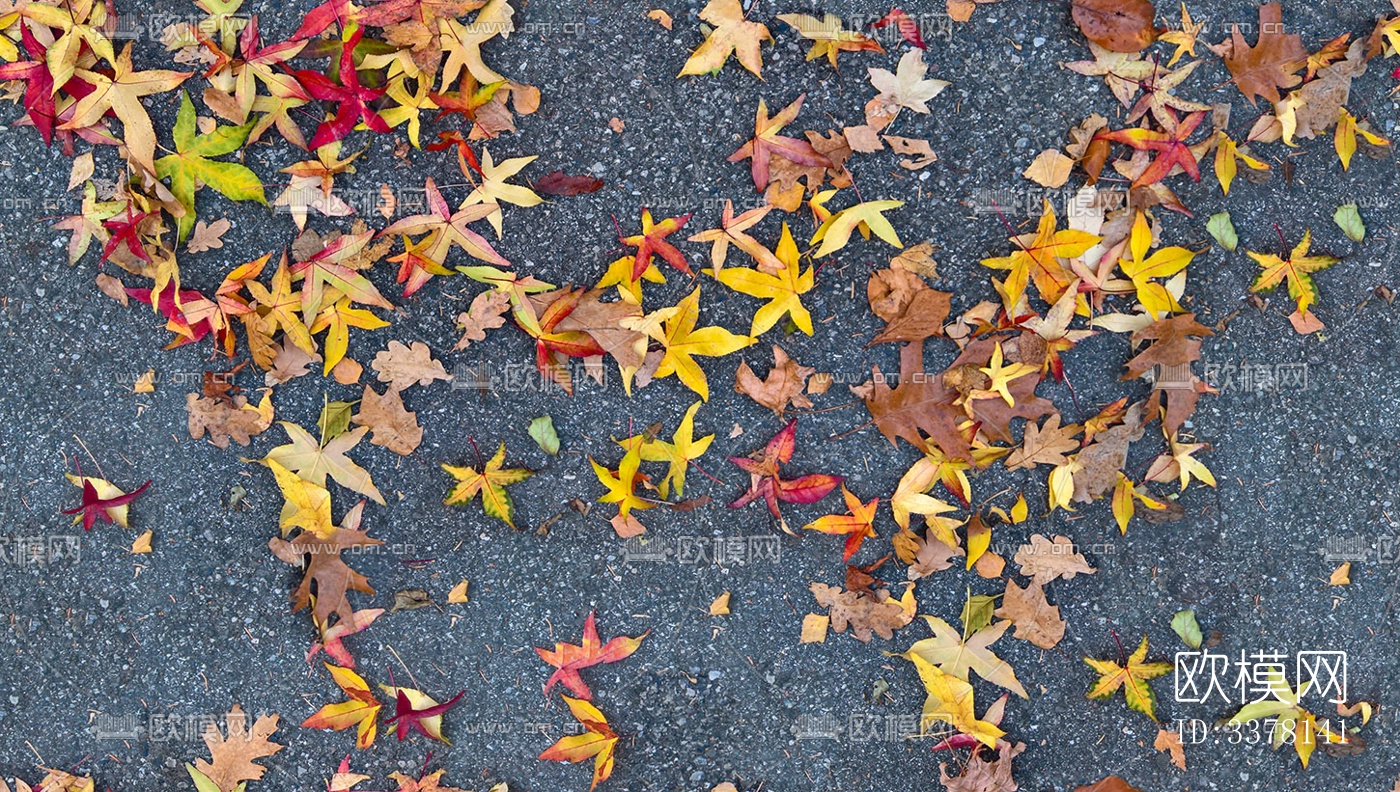 无缝枯黄枯枝落叶树叶草皮草地草坪道路地面下载
