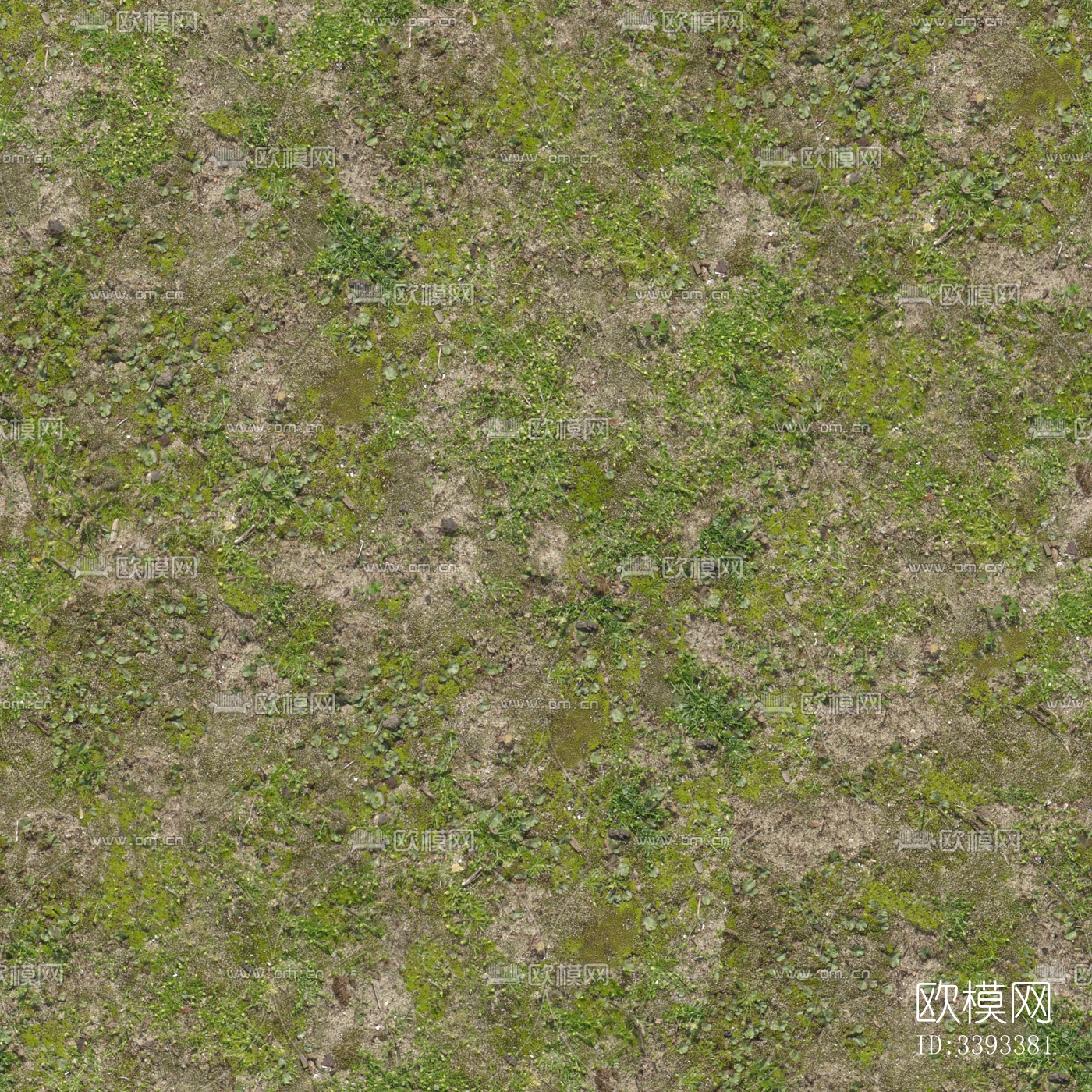 草地_草皮_草坪_草坡_草贴图下载