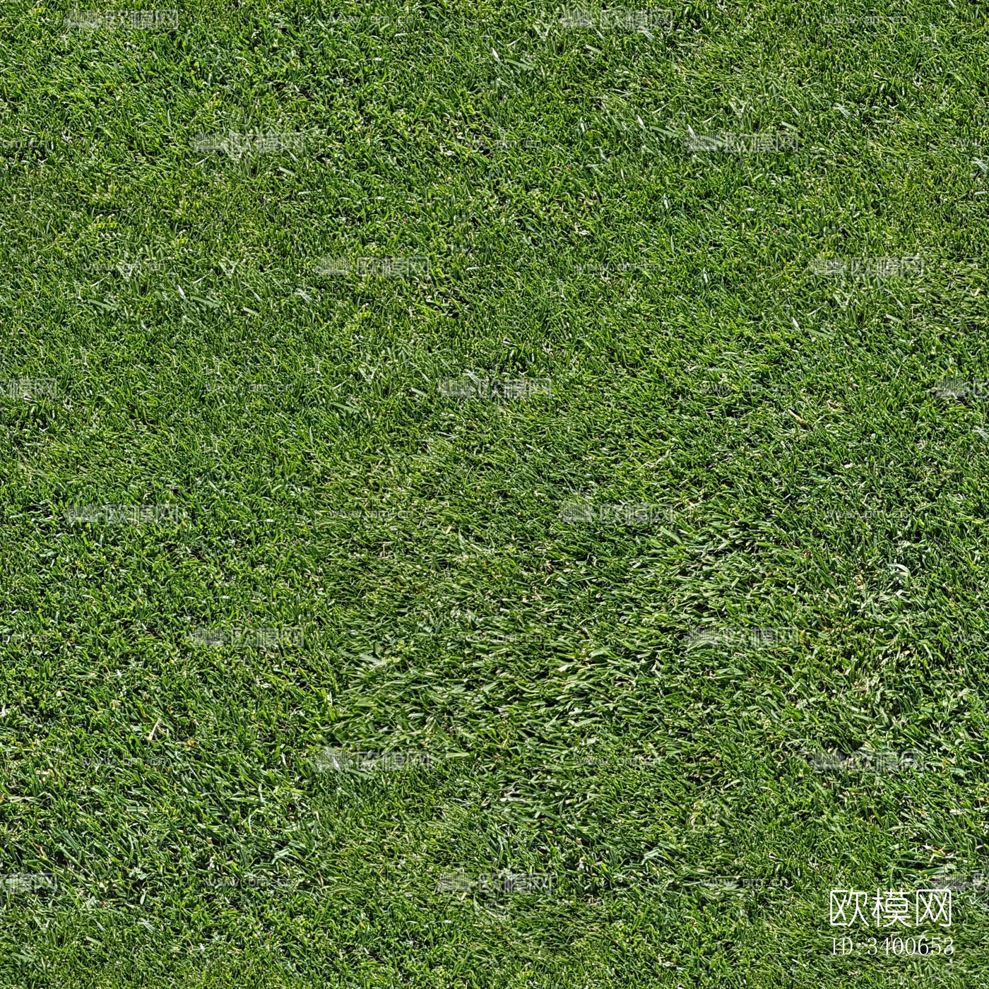 无缝草地草坪纹理下载