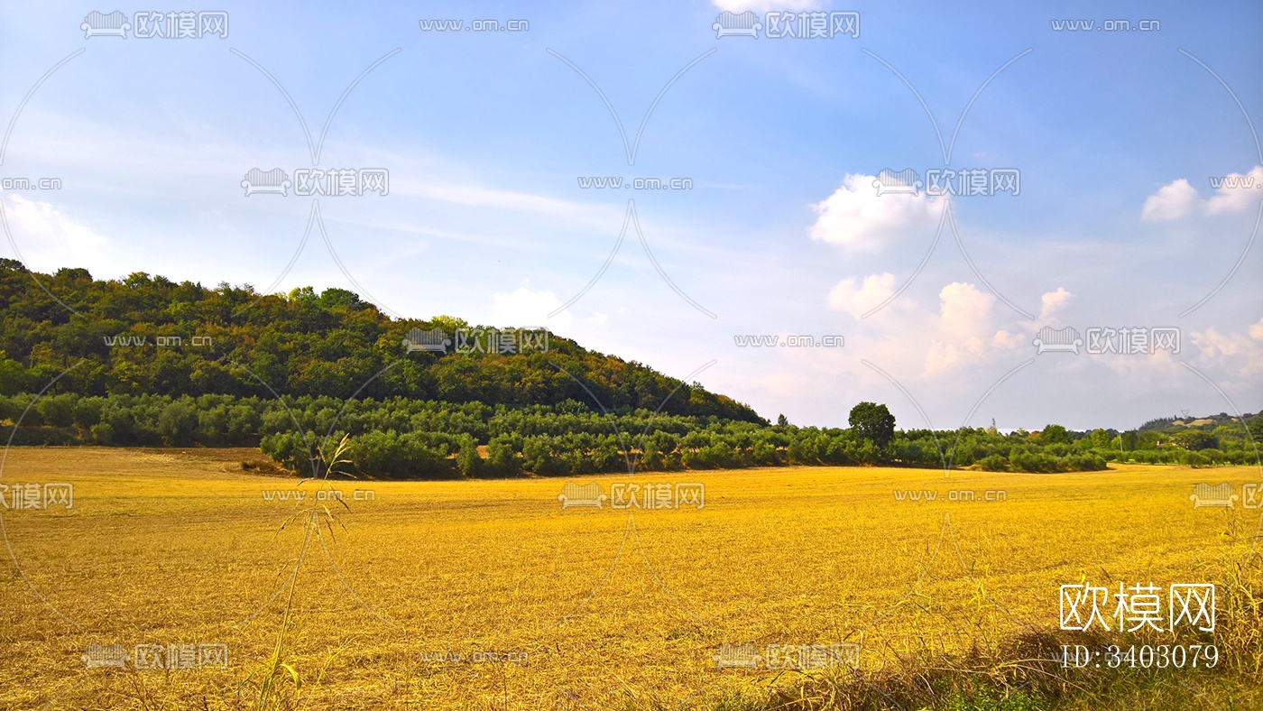 乡村景观风景下载