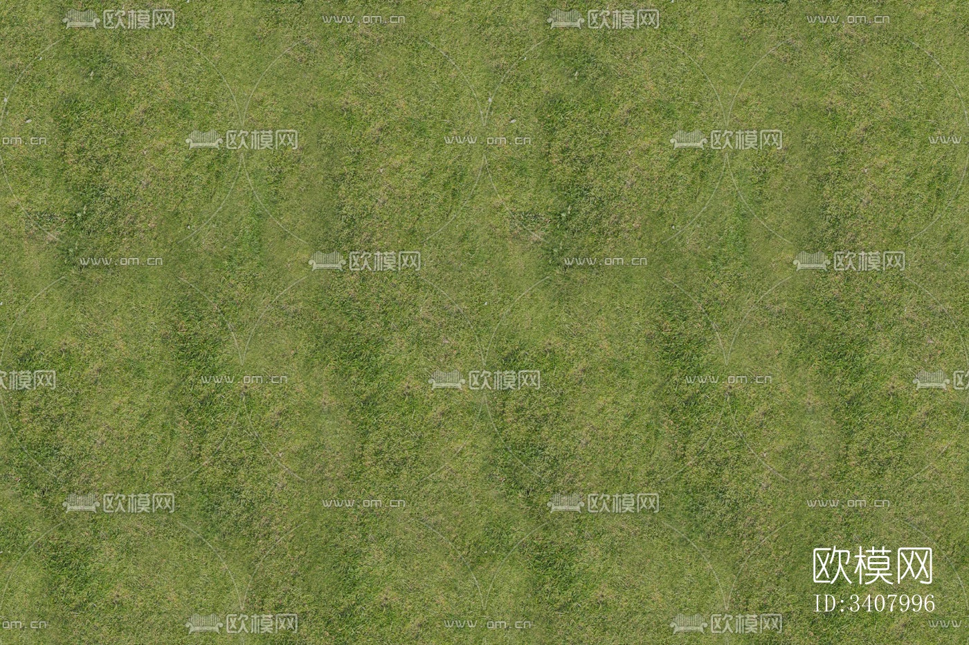 高清草皮地面 草地 草坪 植物 草丛灌木绿植地面下载