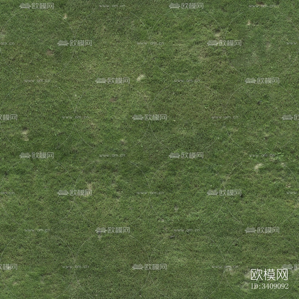 草坪 草皮地面 草地 植物 草丛灌木绿植地面下载