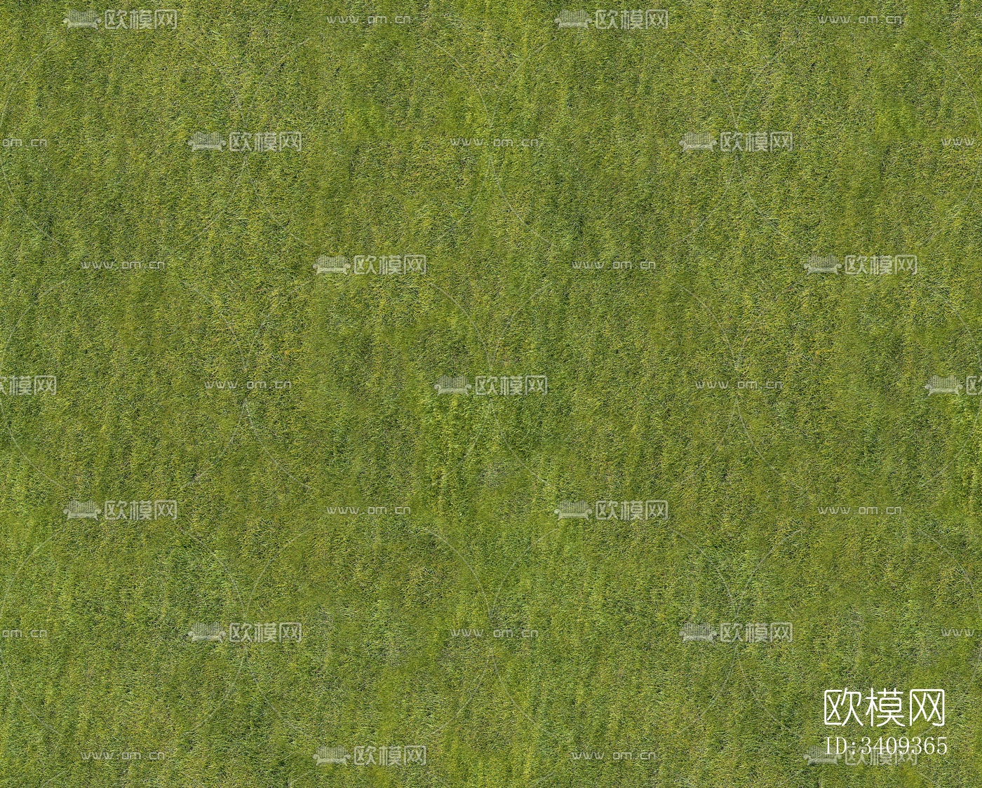 高清草坪 草皮地面 草地 植物 草丛灌木绿植地面下载