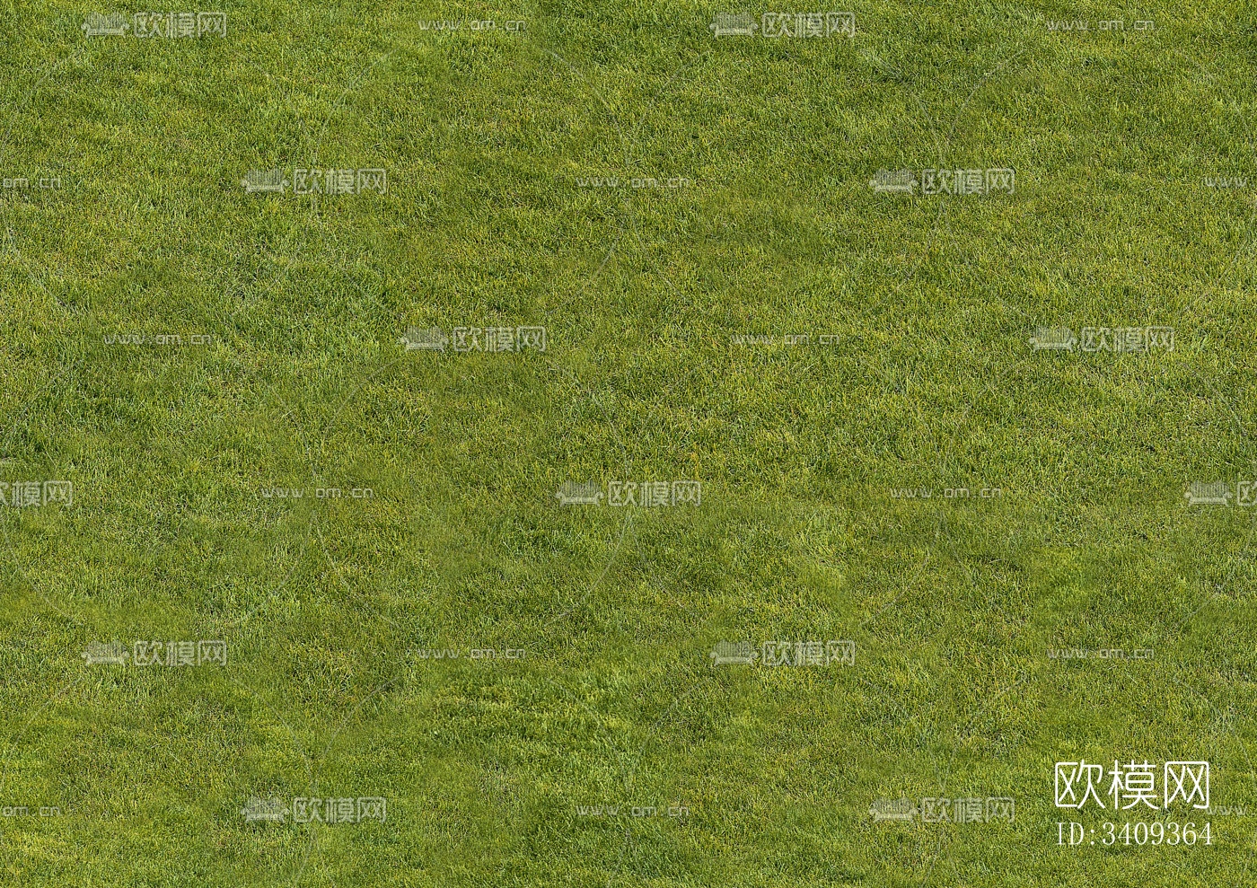 草地 草坪 草皮 植物 草丛绿植地面下载